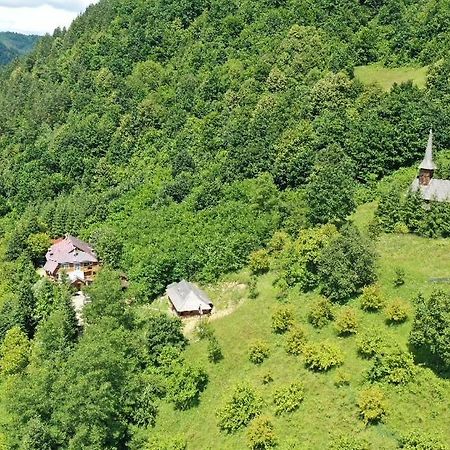 Casuta Bunicilor Villa Viseu de Jos Eksteriør billede